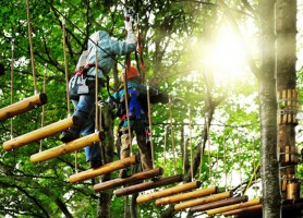 معرفی پارک های طبیعی پنانگ