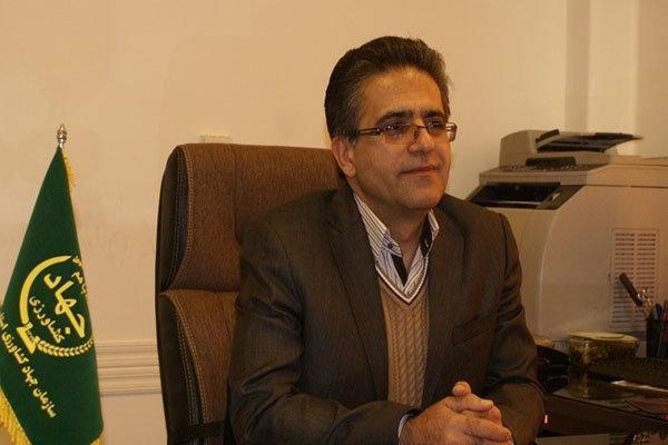 افزایش قیمت ارز فرصتی طلایی برای صادرات محصولات کشاورزی است افزایش قیمت ارز فرصتی طلایی برای صادرات محصولات کشاورزی است