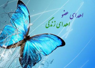 800 بیمار مرگ مغزی در خراسان رضوی اهداء عضو داشته اند