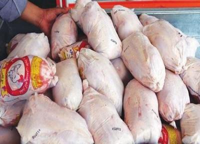 قیمت مرغ منجمد تنظیم بازاری 13500 تومان تعیین شد