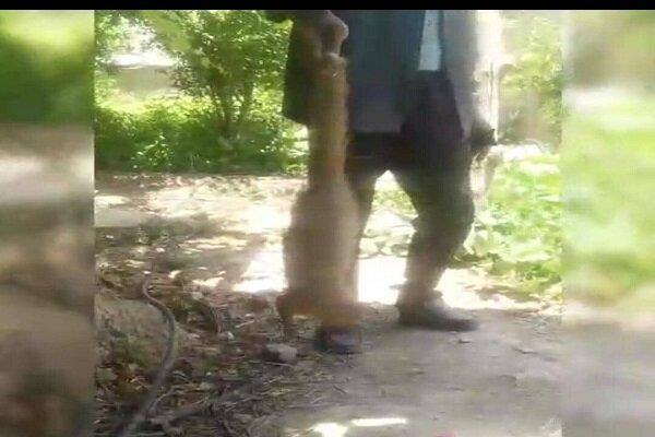 پخش فیلم شکار خدنگ در خفر دست شکارچیان را رو کرد