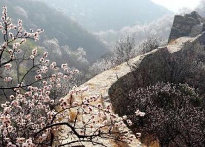 مقاله: آب و هوای پکن | دمای هوای پکن در نوروز، بهار، تابستان، زمستان