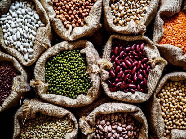 50 نکته راهنمای خرید حبوبات ، چرا بعضی حبوبات دیرتر می پزن؟ 50 نکته راهنمای خرید حبوبات ، چرا برخی حبوبات دیرتر می پزن؟
