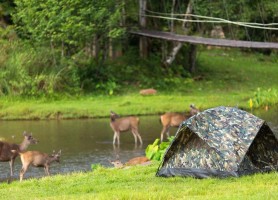 پارک ملی کائو یای تایلند