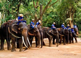 جاذبه های گردشگری چیانگ مای