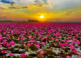 دریاچه قرمز رنگ تایلند