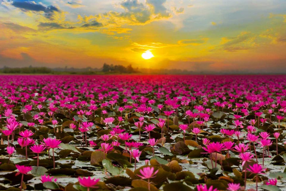 red see in thai دریاچه قرمز رنگ تایلند